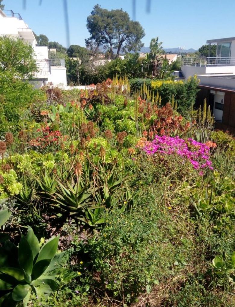 Bipolaire Arquitectos Proyecto: Casa B05