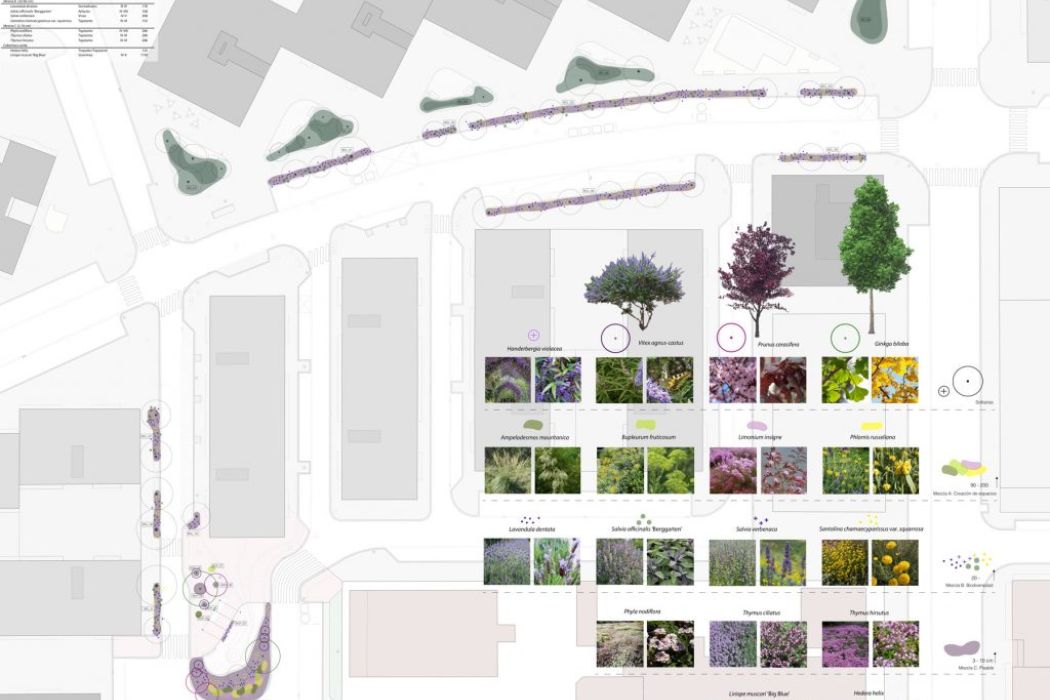 It's All About Impact | Biodiversity | Bipolaire Arquitectos