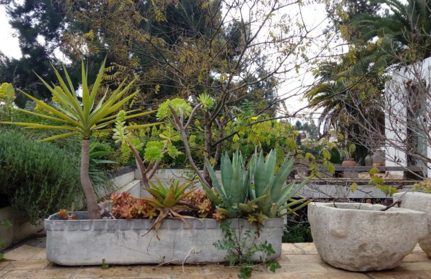 Bipolaire Arquitectos Proyecto: Casa B05