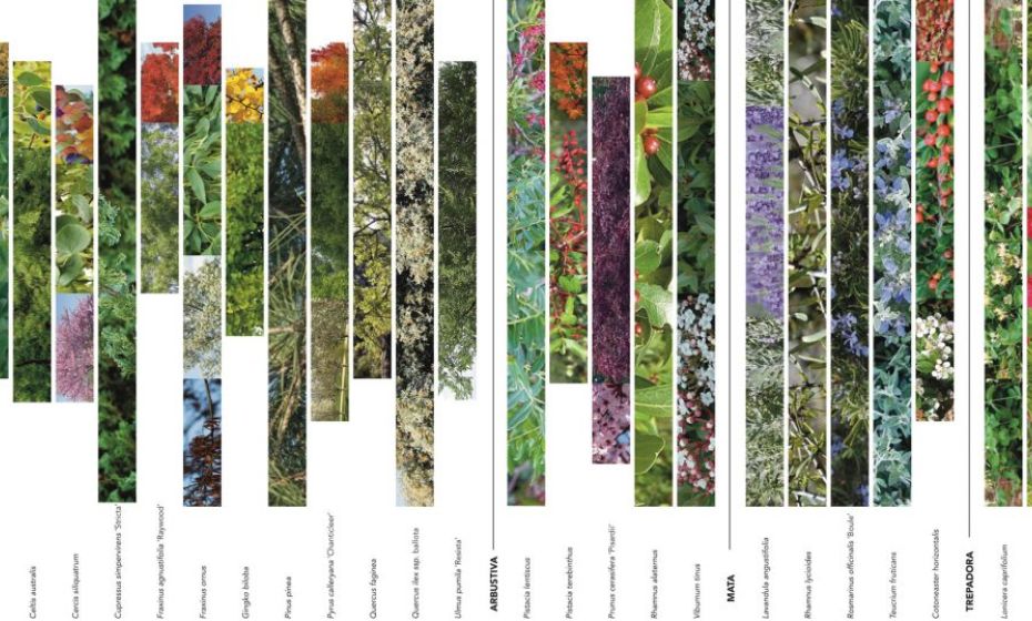 It's All About Impact | Biodiversity | Bipolaire Arquitectos