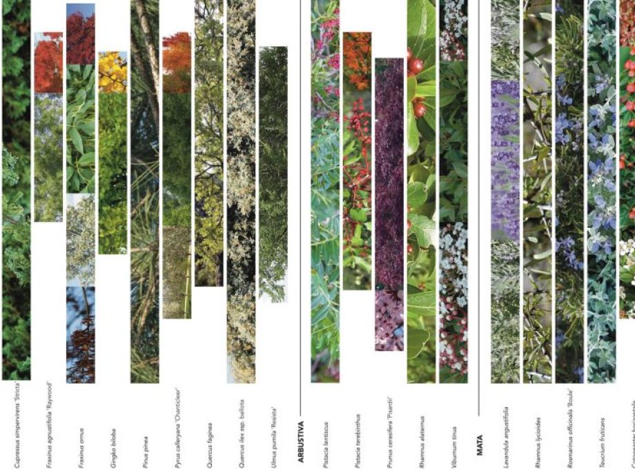 It's All About Impact | Biodiversity | Bipolaire Arquitectos