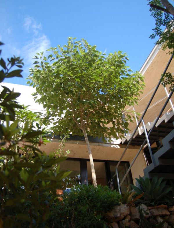 Bipolaire Arquitectos Proyecto: Casa B05